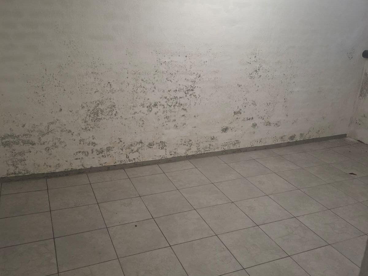 Keller- und Bauwerksabdichtung durch Bautechnik Scheulen (8)